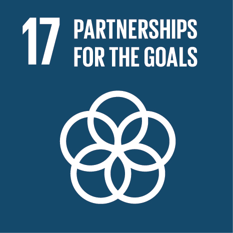 United Nations Sustainable Development Goal 17: Partnerships for the Goals