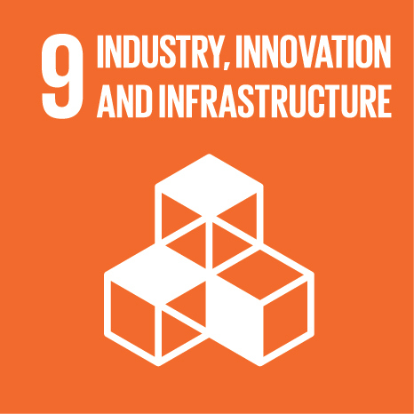SDG 9 Industry, Innovation and Infrastructure icon
